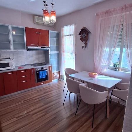 Apartament Cozyflat In The Middle Of Tirana Zewnętrze zdjęcie